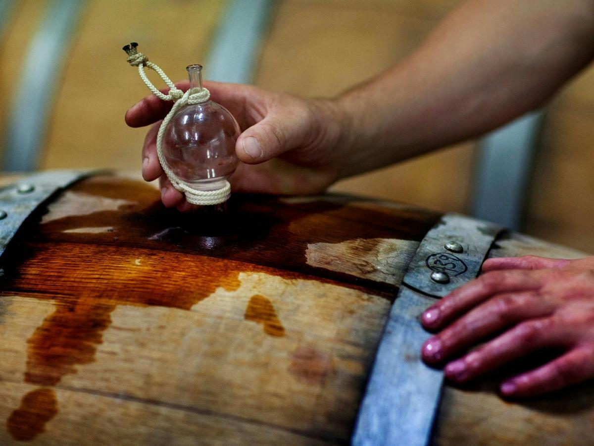 Hamish Seabrook Winemaker Immersion Experience