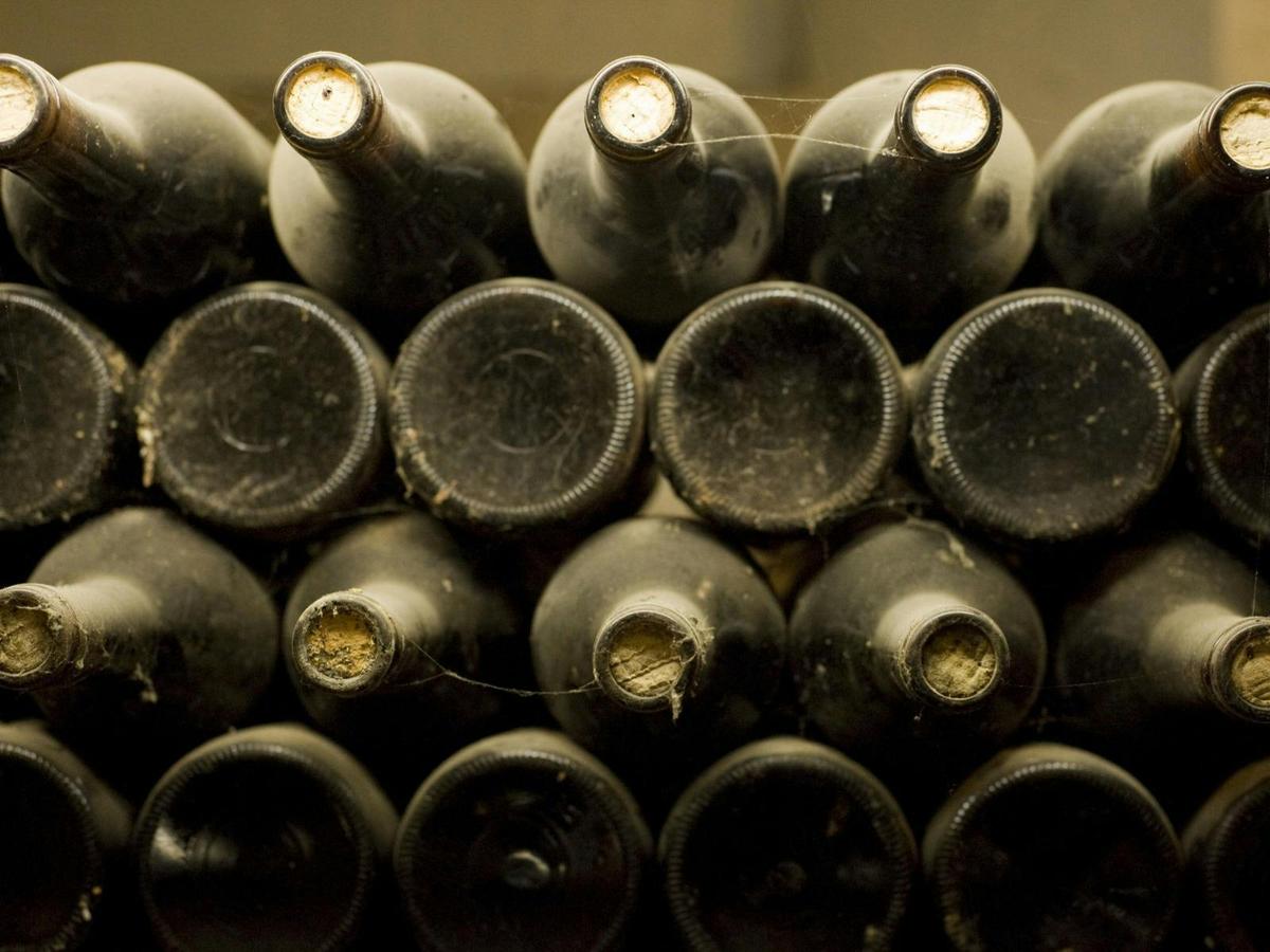 Hamish Seabrook Winemaker Immersion Experience