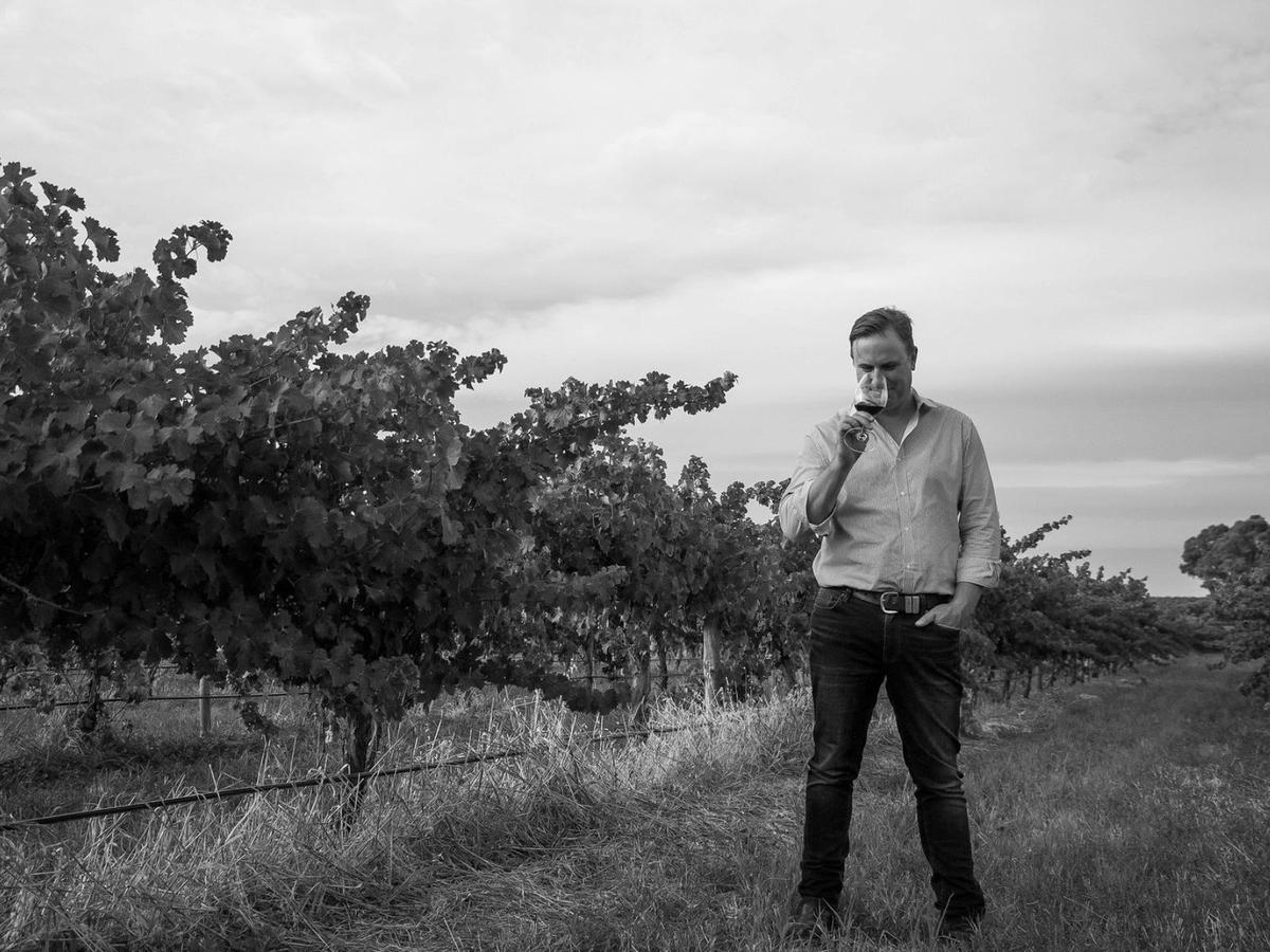 Hamish Seabrook Winemaker Immersion Experience