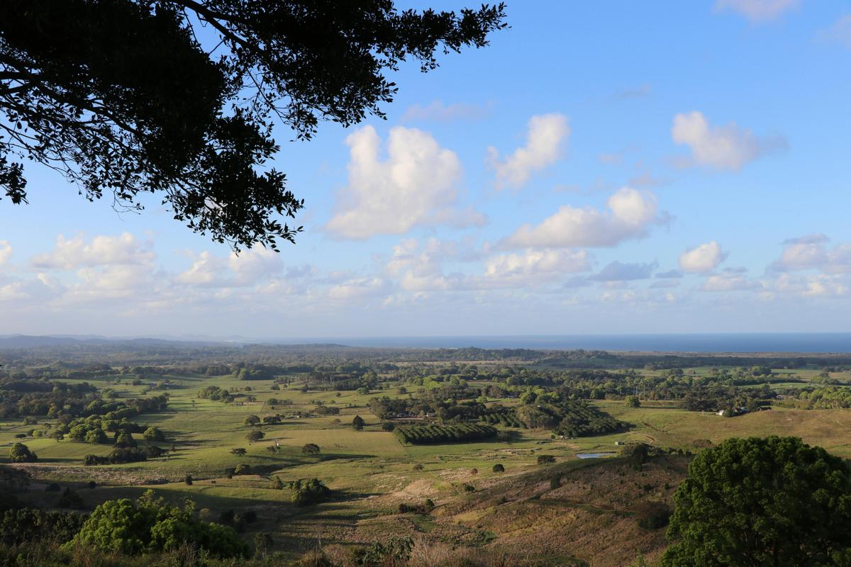 St Helena lookout