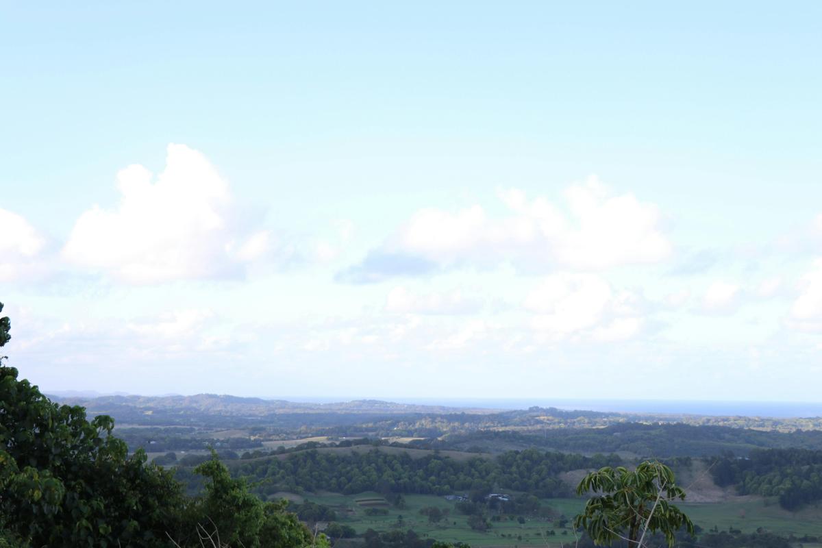Scarrabelotti's Lookout Tower