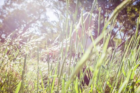 Kilmore Community Bank Walking Trail