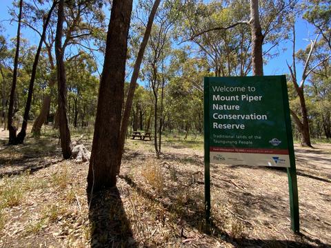 Mount Piper Circuit Walk