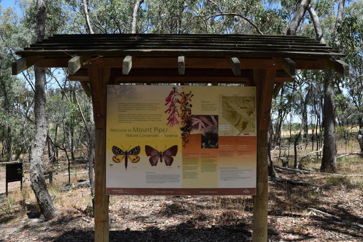 Mount Piper Circuit Walk