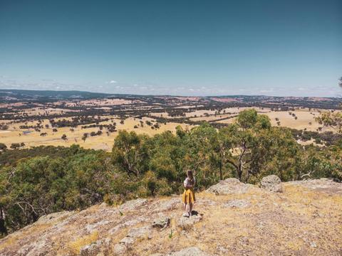 Mount Piper Summit Walk