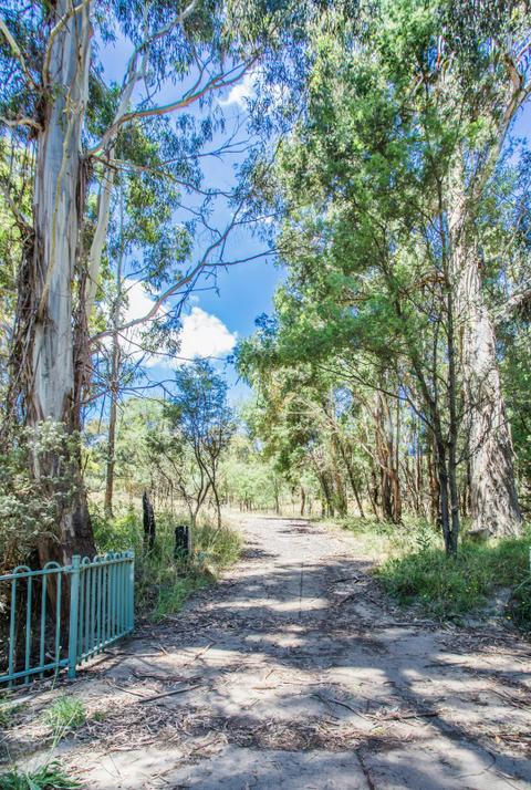 Say G'Day Trail