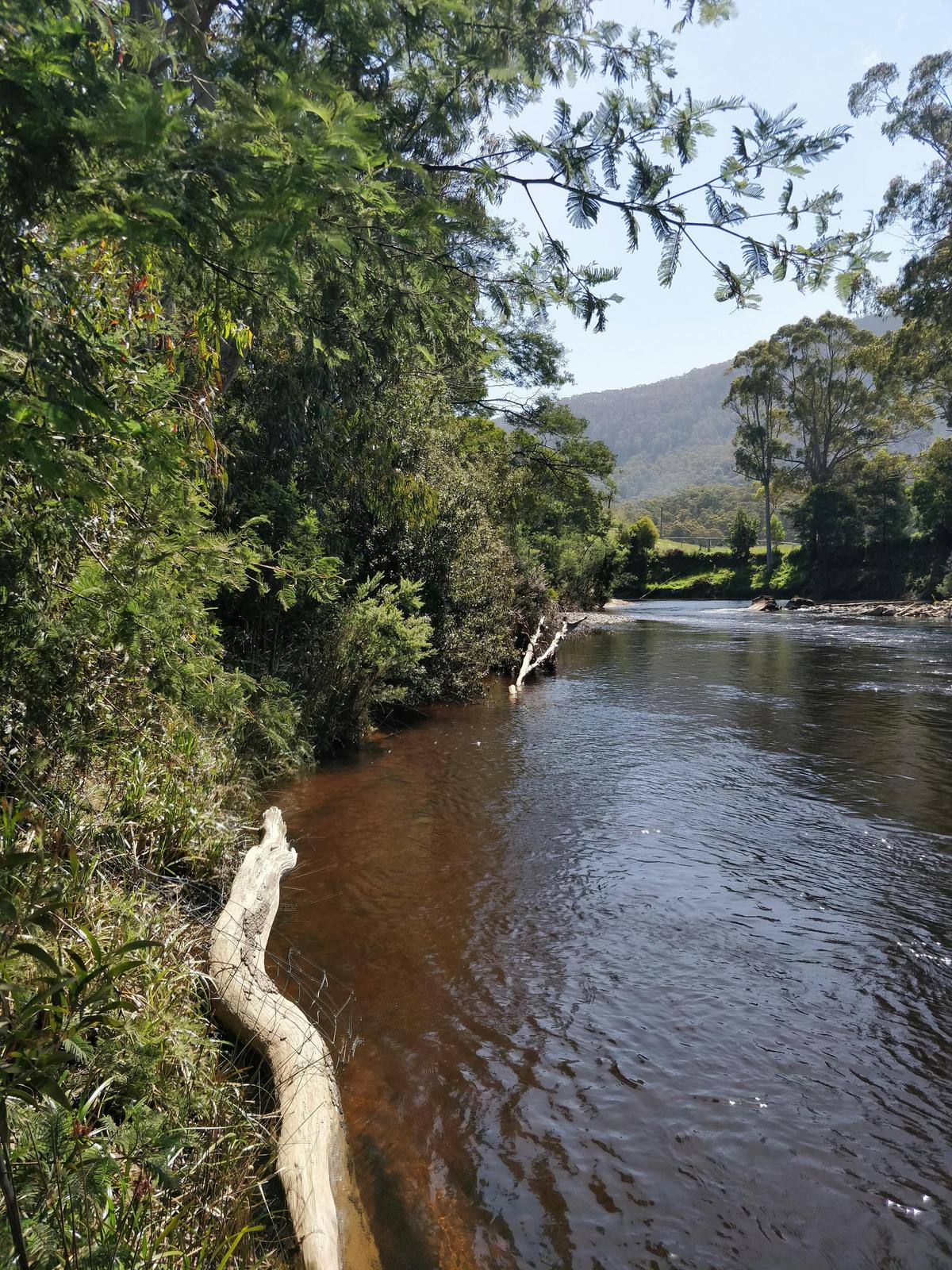 Camping is in an idyllic location beside the Leven River, within a 100 acre natural forested propert