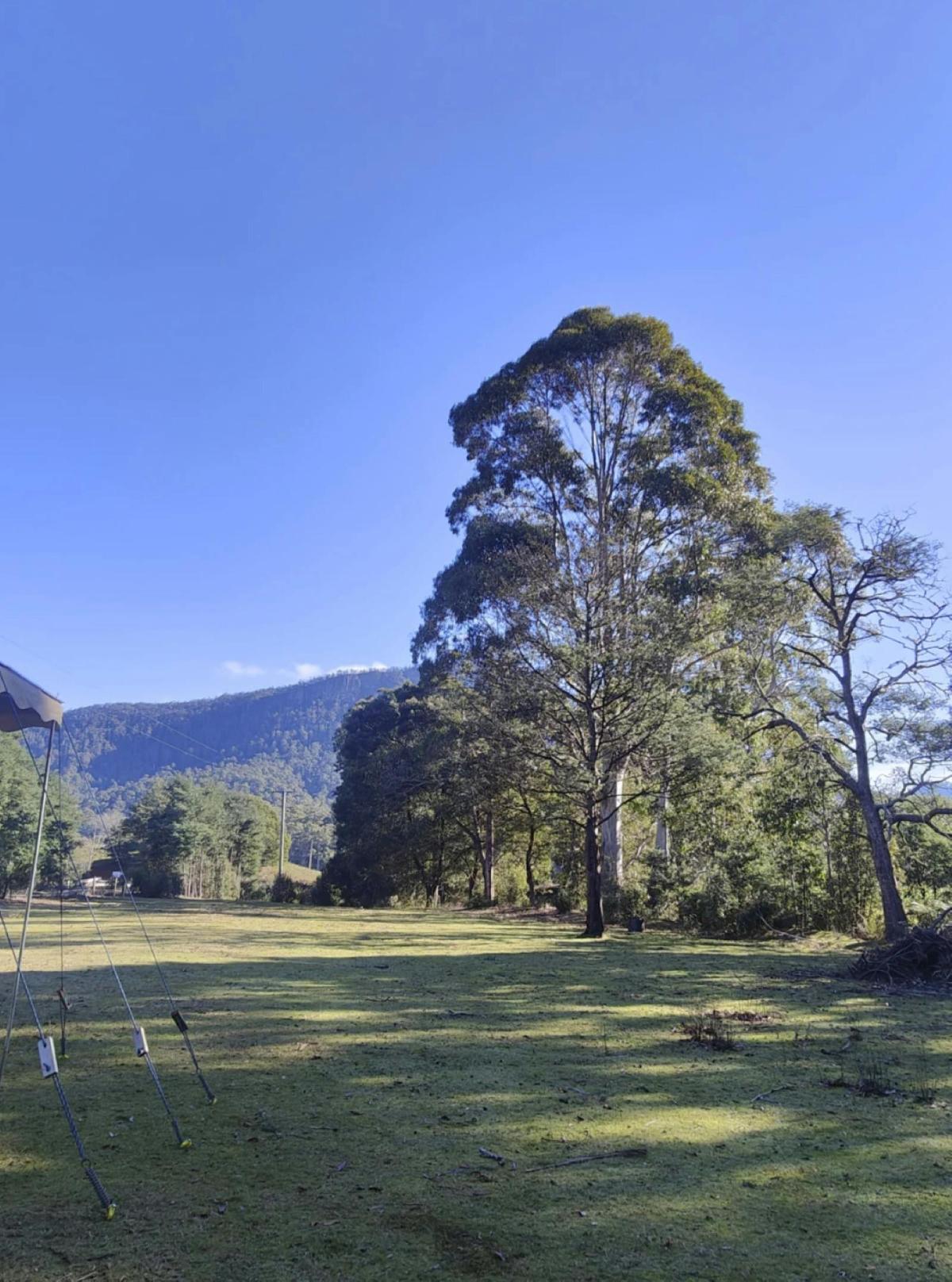 Camping is in an idyllic location beside the Leven River, within a 100 acre natural forested propert