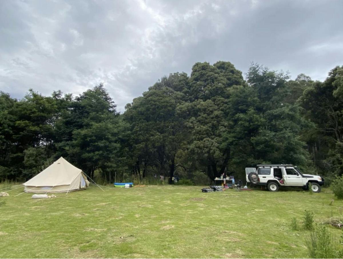 Camping is in an idyllic location beside the Leven River, within a 100 acre natural forested propert