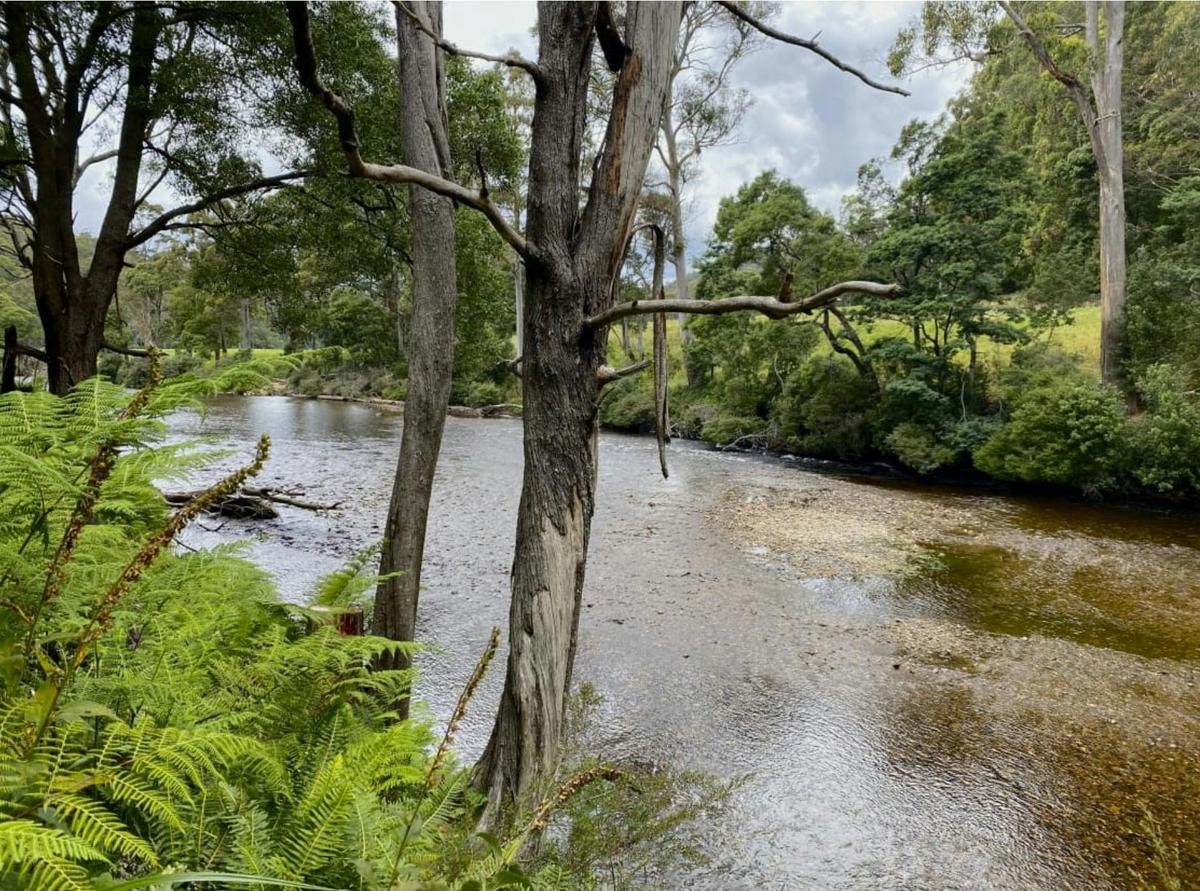 Camping is in an idyllic location beside the Leven River, within a 100 acre natural forested propert