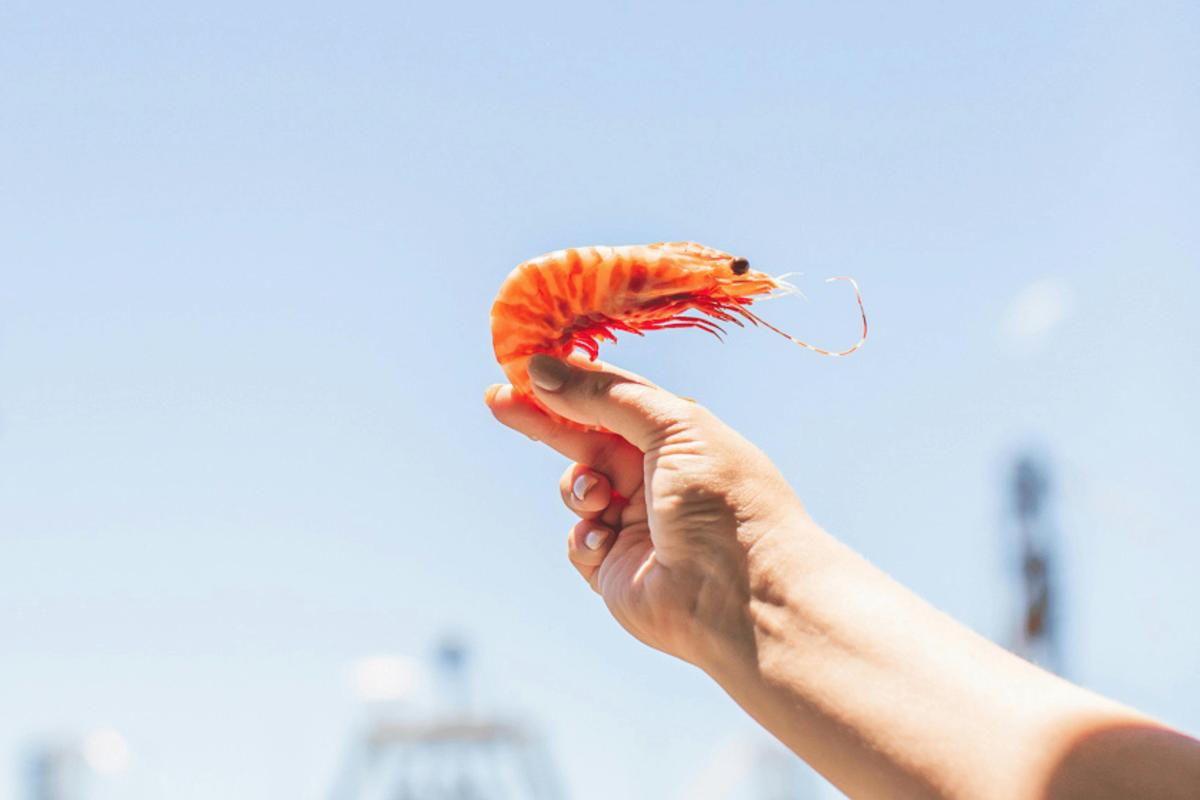 Fresh seafood is at the heart of the Tempest dining experience.