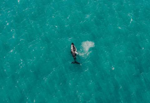 Perth to Broome (or vice versa) Helicopter Trip of a Lifetime
