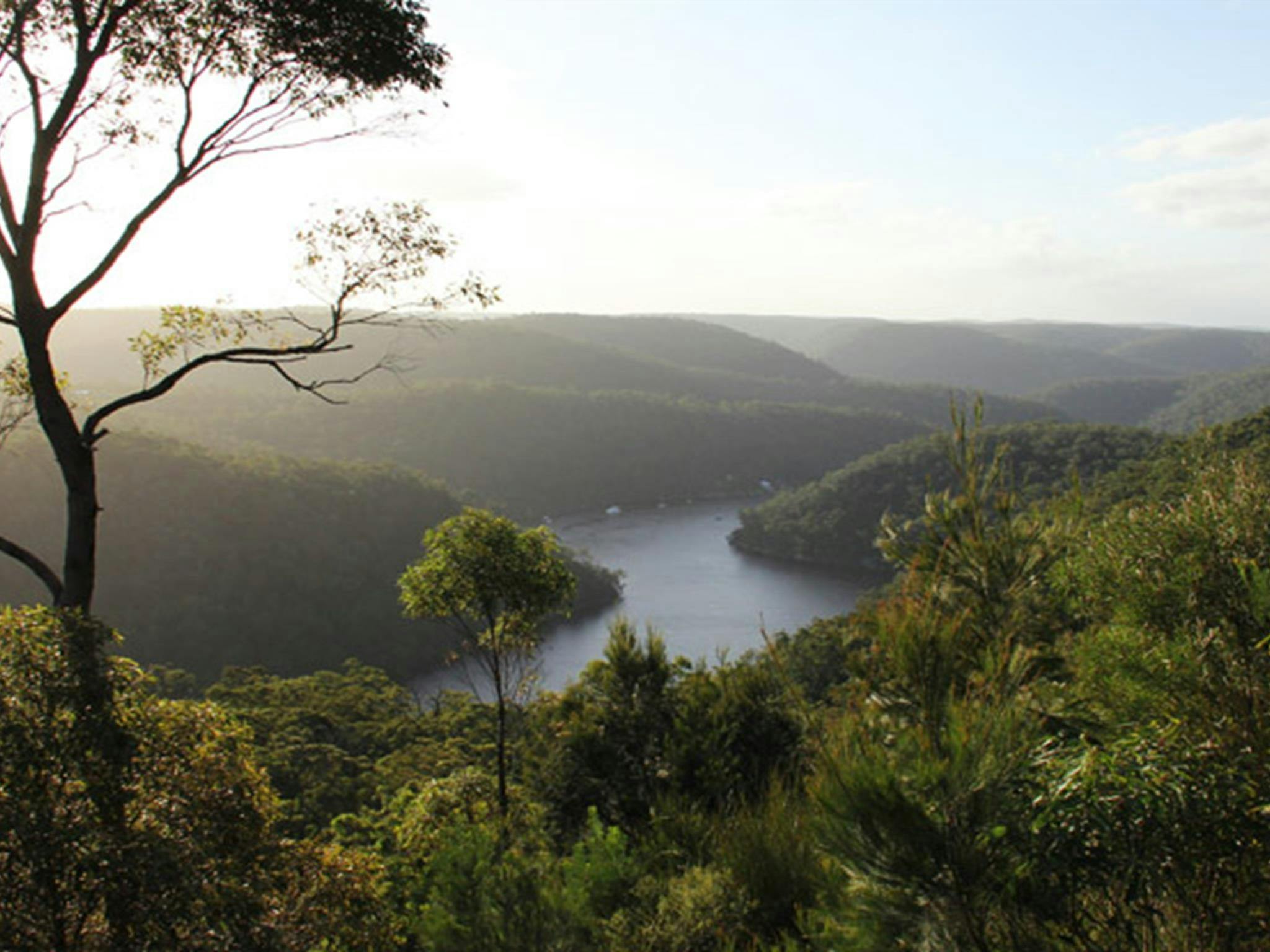 View over Berowra Valley from Barnetts lookout. Photo: John Yurasek &copy; DPIE