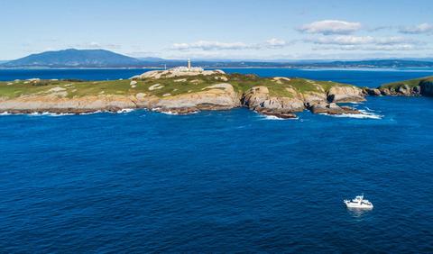 Barunguba Montague Island and lighthouse tour