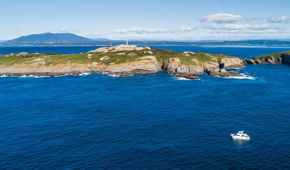Barunguba Montague Island and lighthouse tour