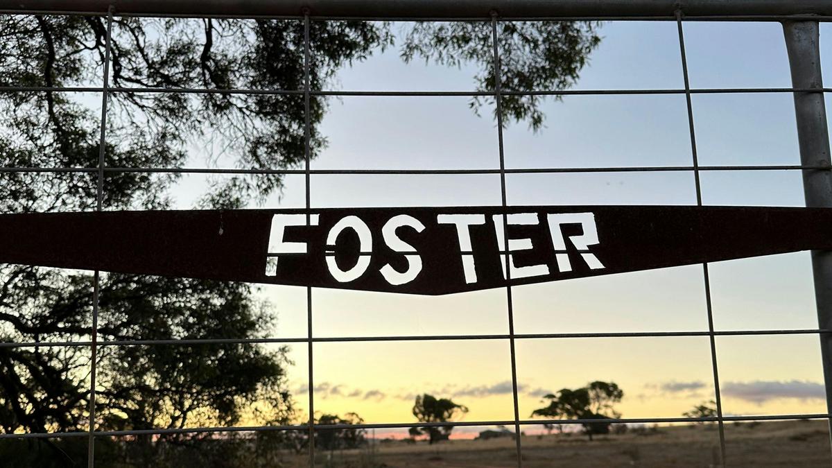 Foster Farmstay