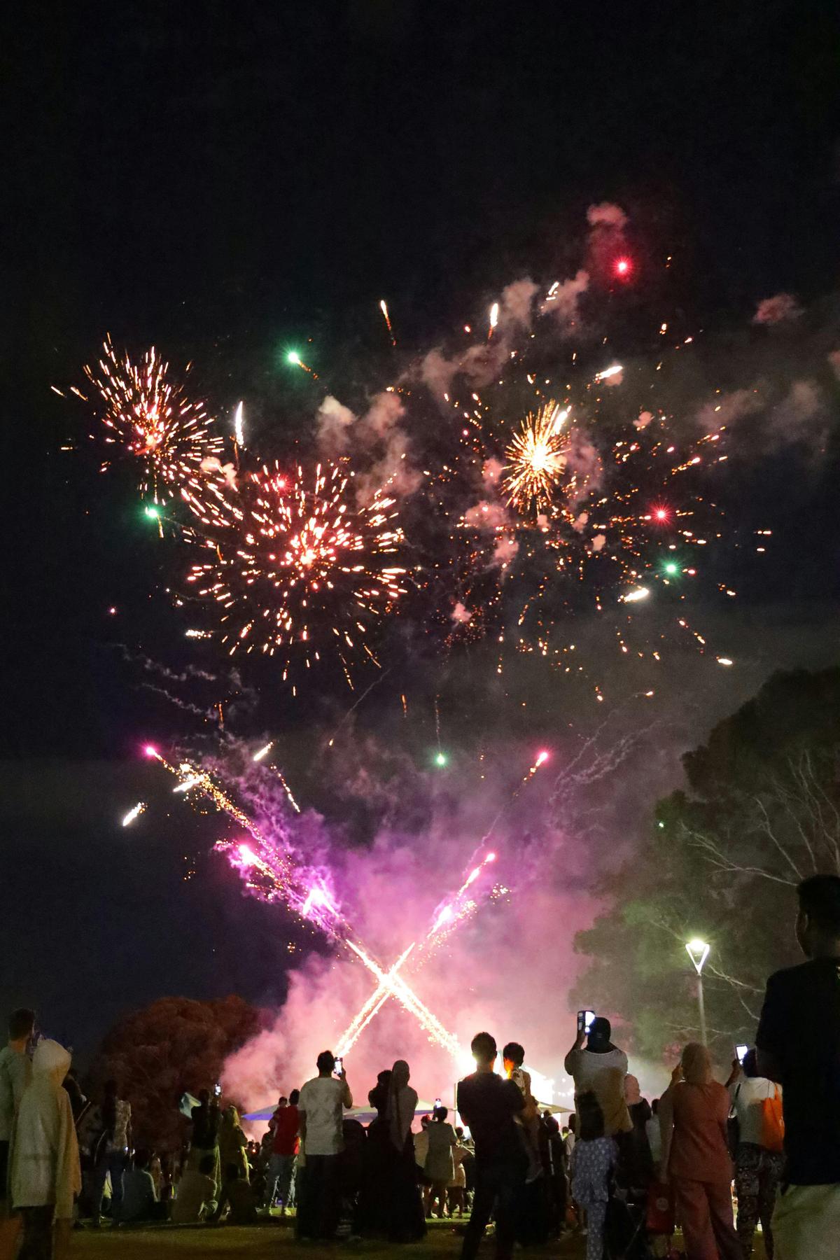 Carols in the Park - Wiley Park