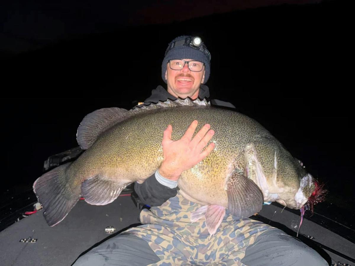 Fishing with Jollip Guiding