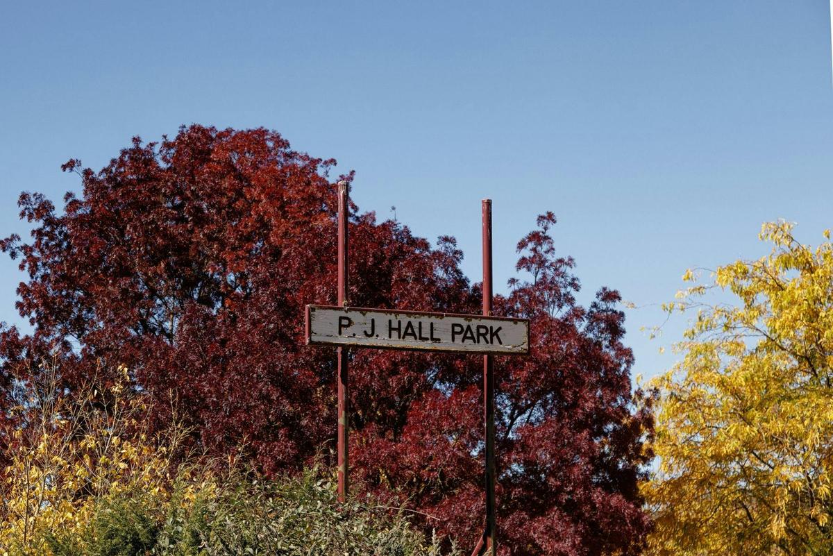 PJ Hall Park at Lake Wallace Wallerawang