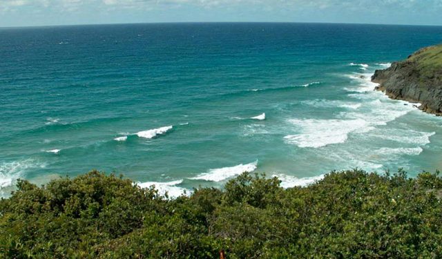 Big Hill Rainforest Walking Track