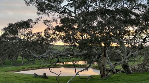 Cloud Ridge Farm
