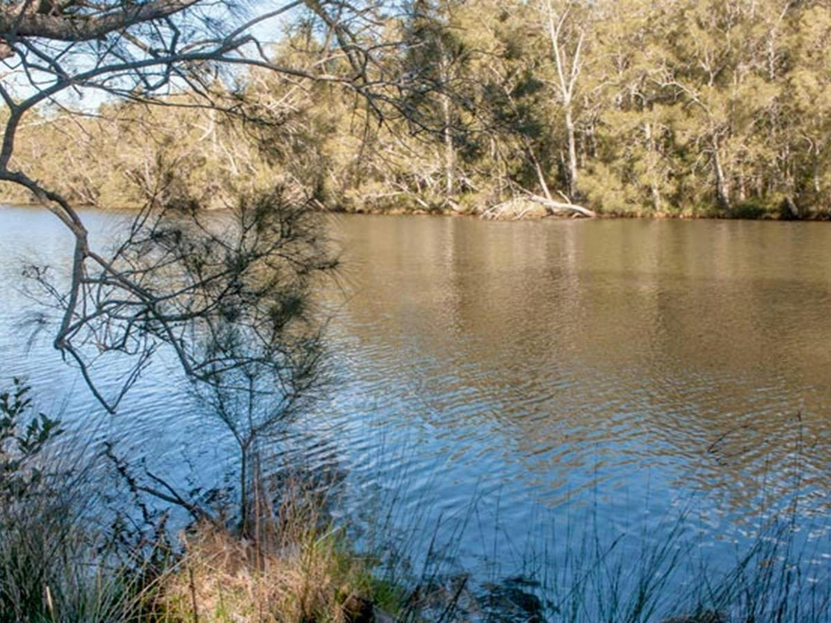 Wandandian Creek picnic area, Corramy Regional Park. Photo: Michael van Ewijk &copy; OEH
