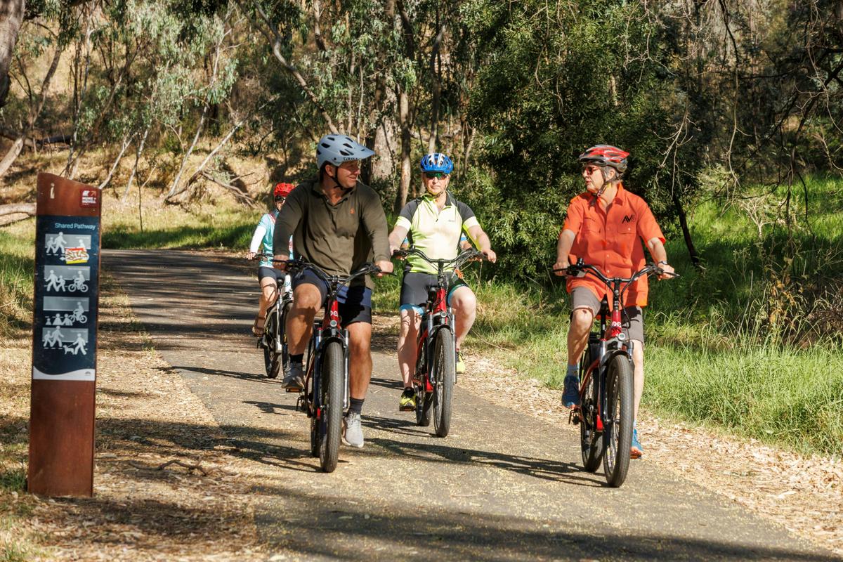 Murray River cycling