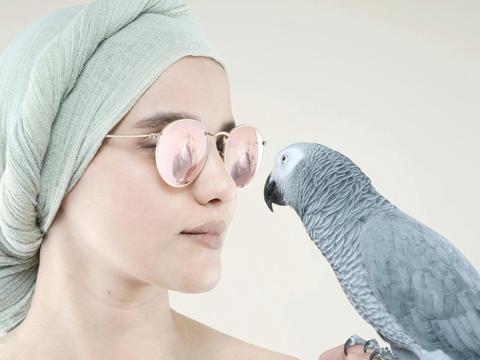 Petrina Hicks - Snakes and Mirrors