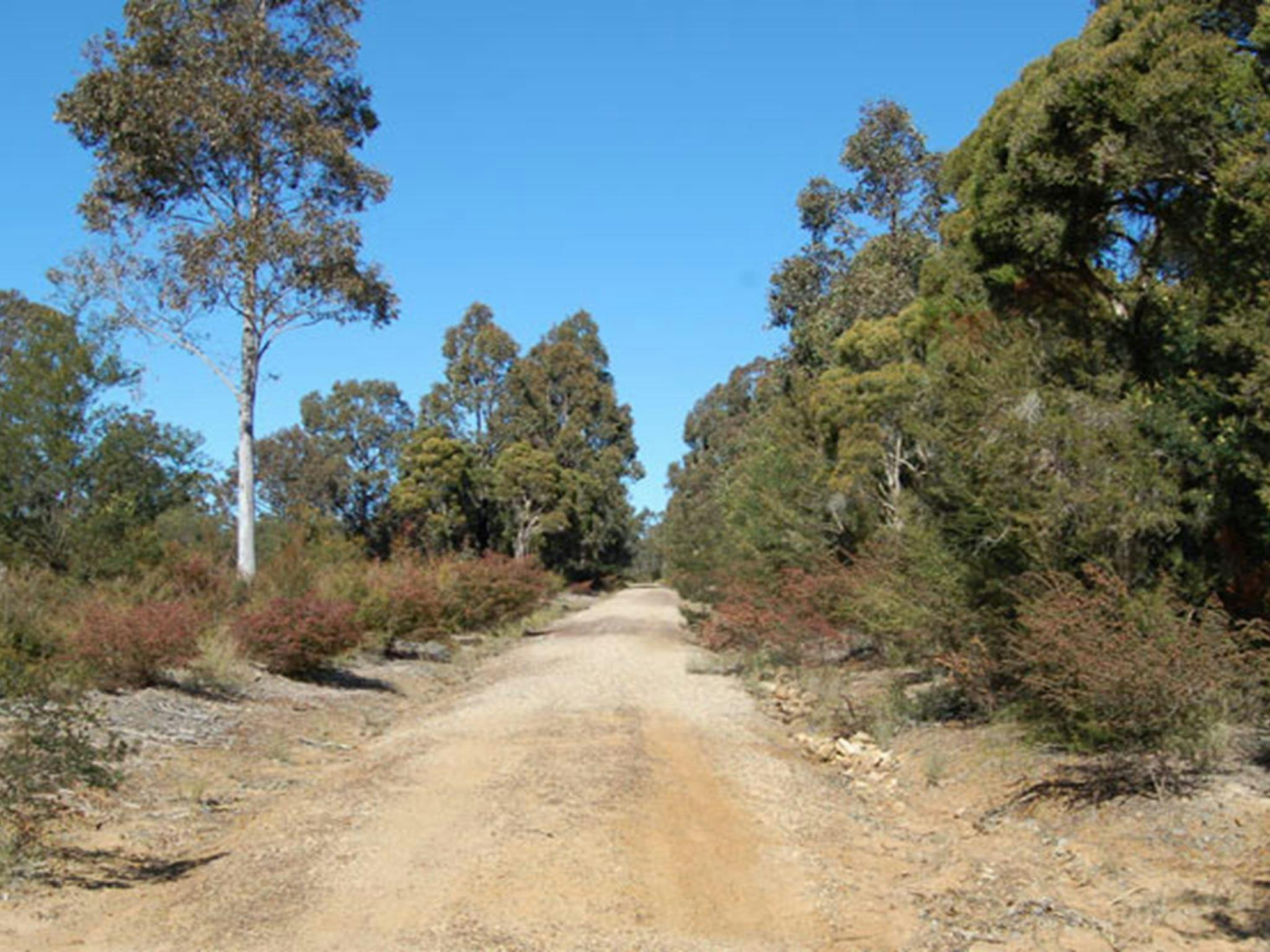 Astills Trail, Werakata National Park. Photo: Susan Davis/NSW Government