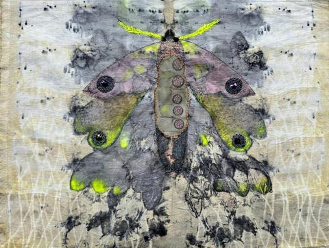 What the Dark Remembers - Mariana del Castillo Exhibition
