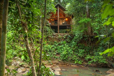 Canopy Rainforest Tree Houses