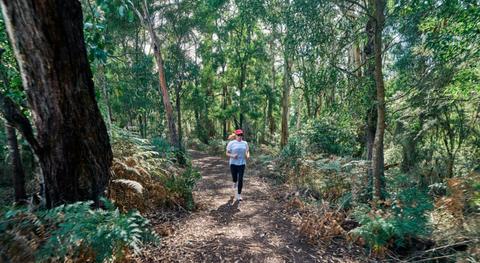 Poorpa Yanyeen Meerreeng Trail