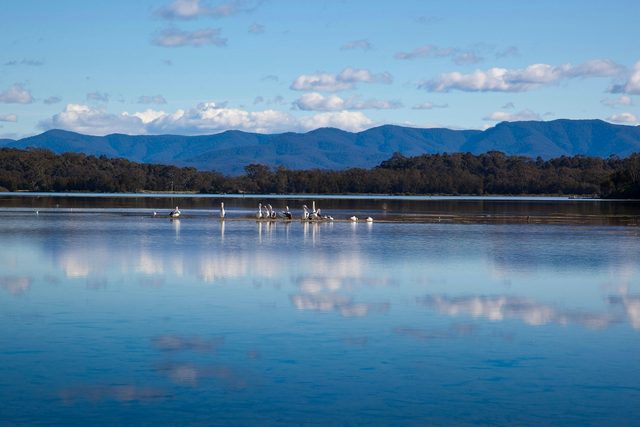 Tuross Lake