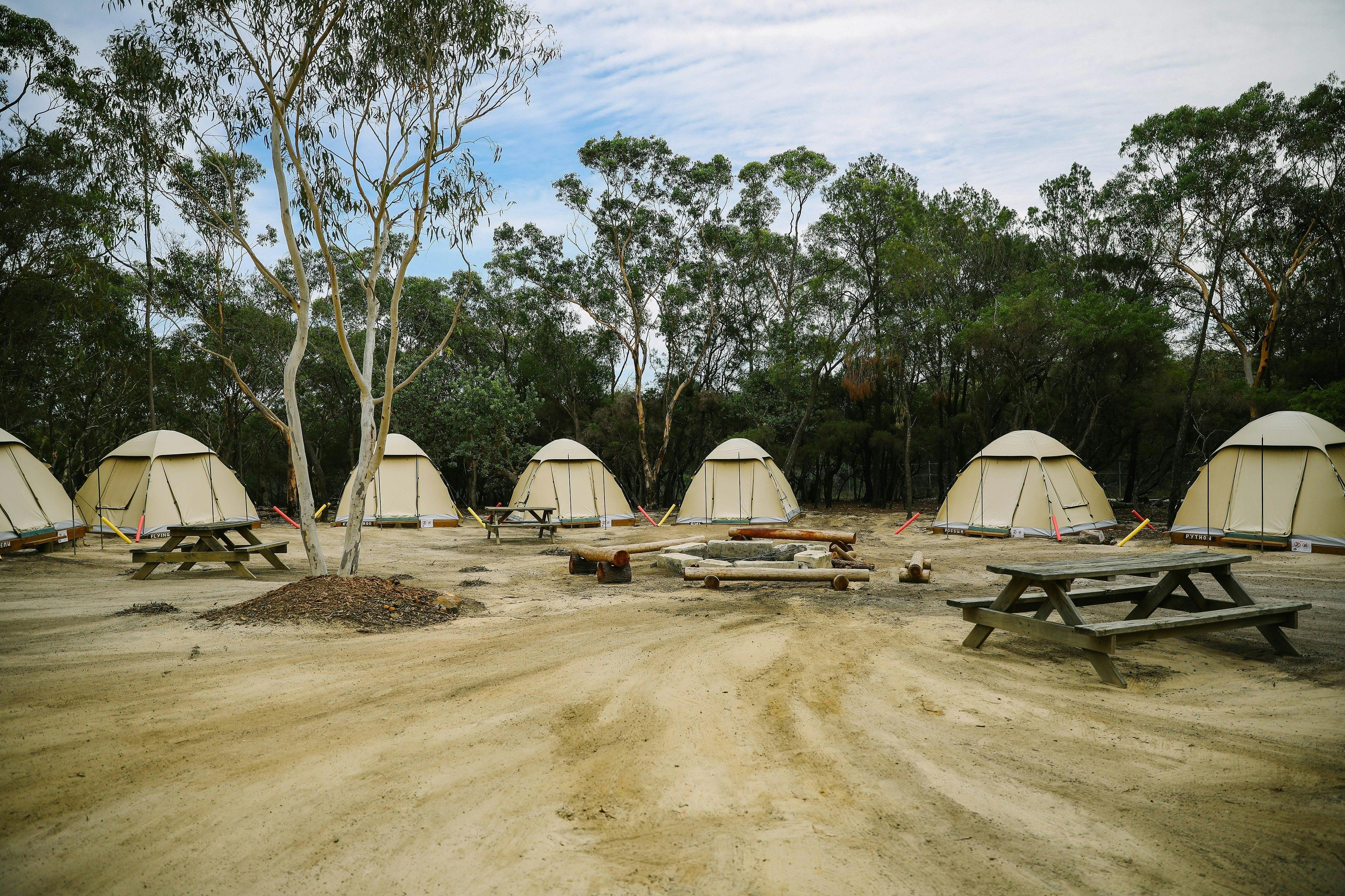 Wild Sleep Out Camground