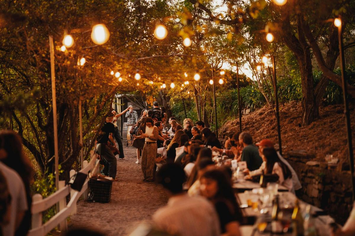 Enjoy a catchup in our Garden Laneway
