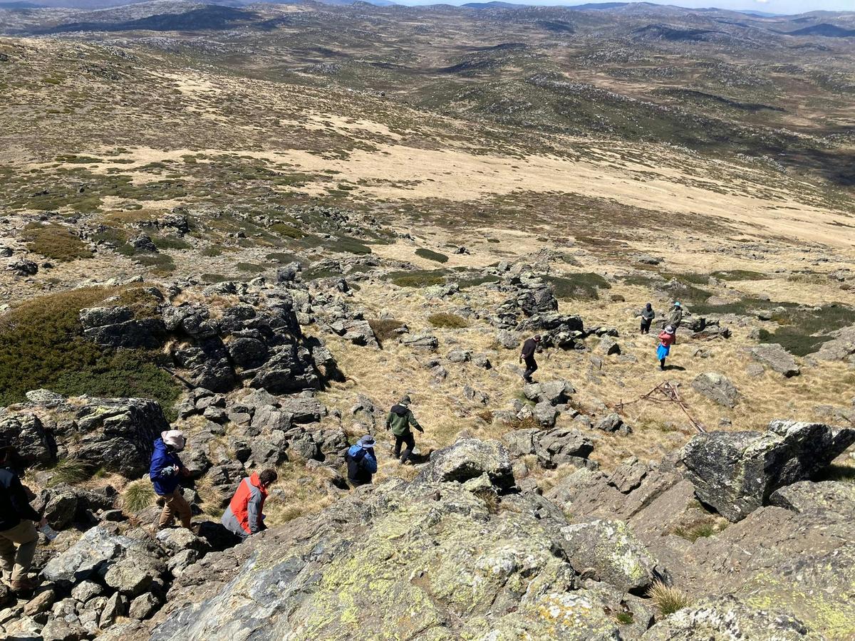 Rocky Mountain descent