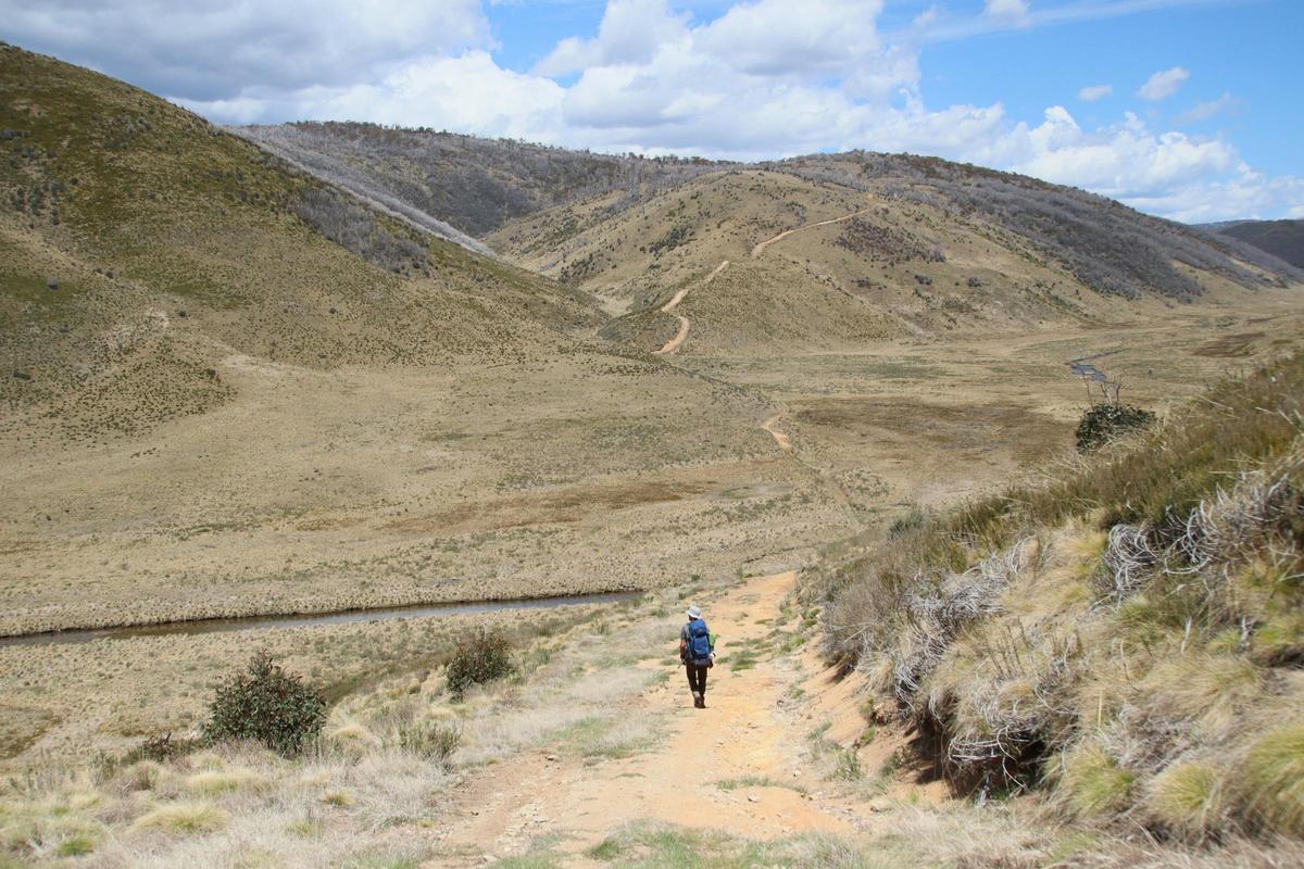 Alone in the Wilderness