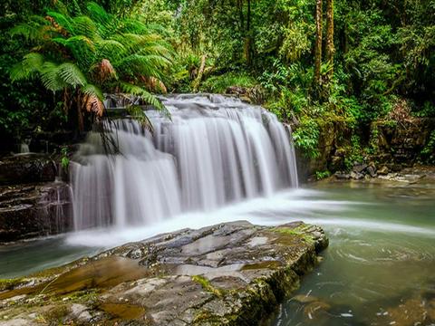 Barrington Tops National Park (Southern Gateway)