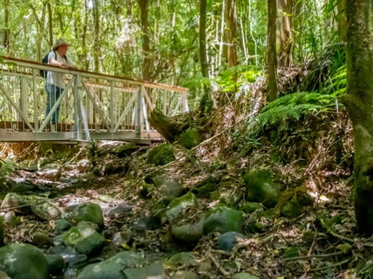 Barrington Tops National Park (Southern Gateway)