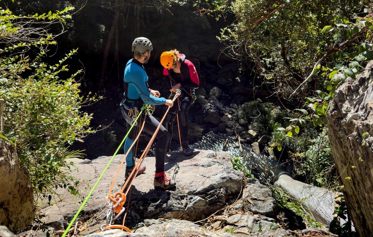 A Coffs Canyons guide preparing a participant for an abseil in Bangalore Canyon, Bindarri National P
