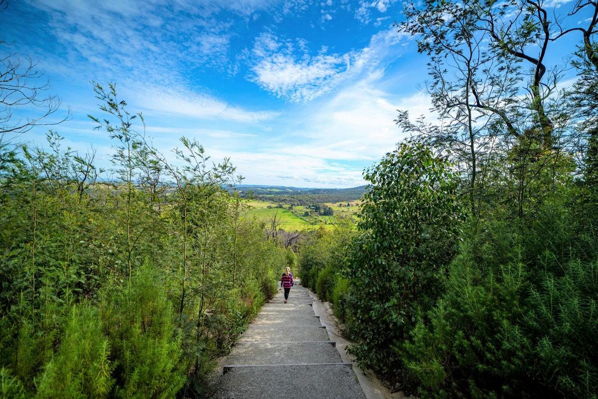 Mt Cannibal walking trail