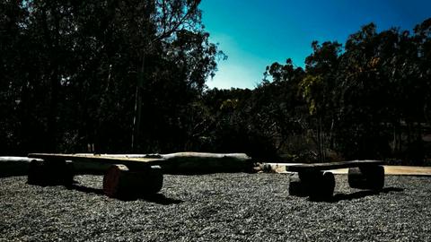The Pad Bush Camp