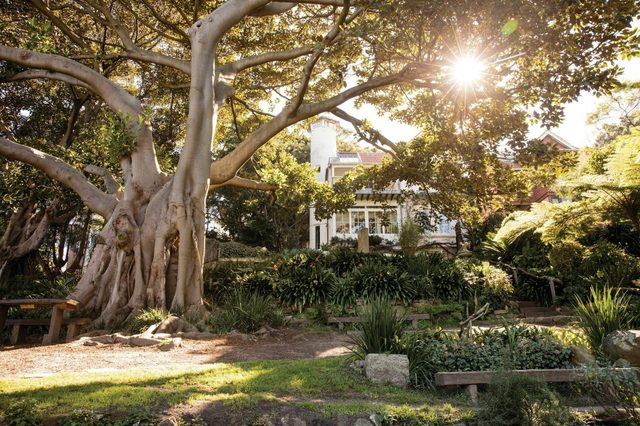 Wendy Whiteley's Secret Garden