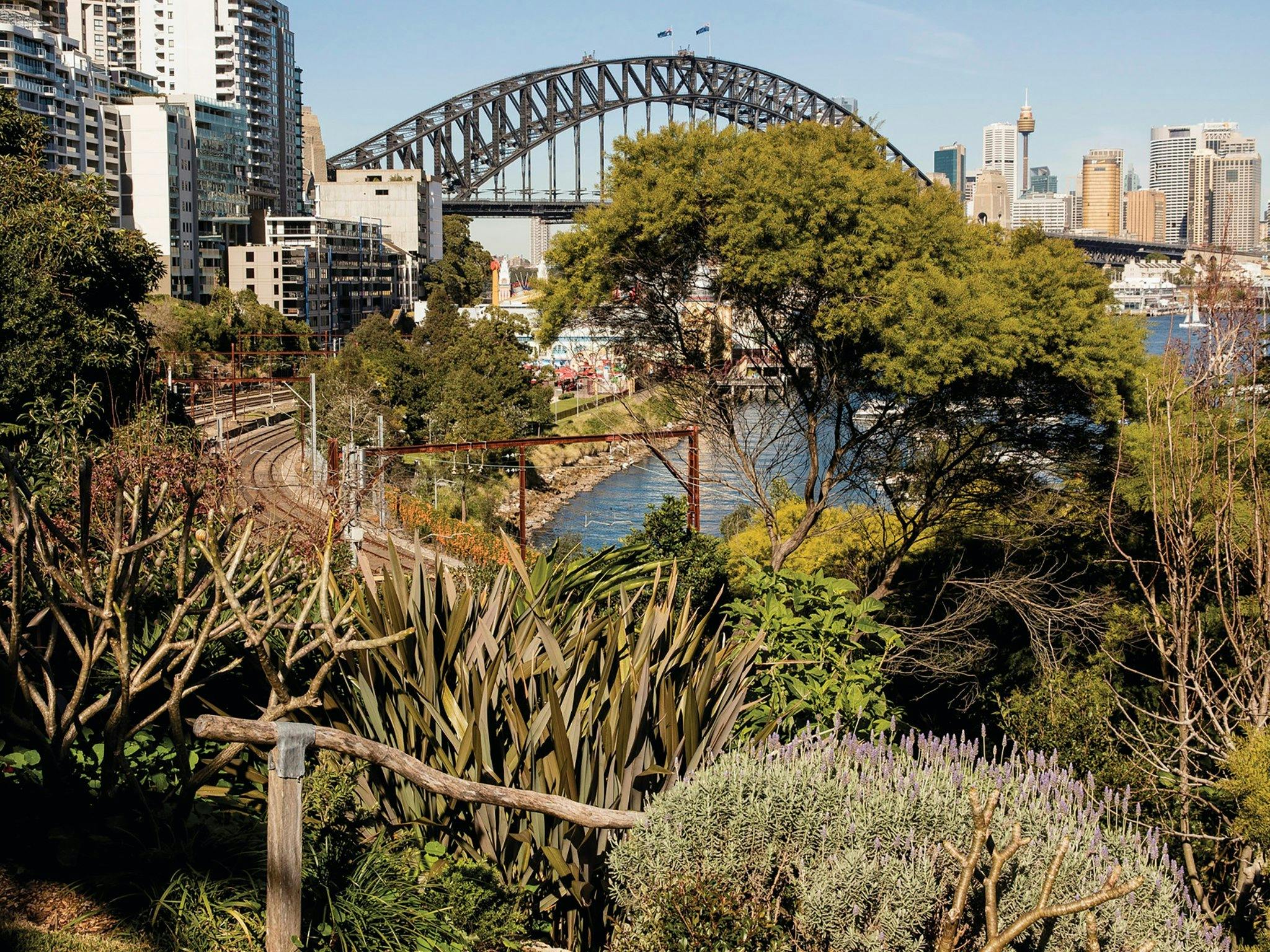 Wendy Whiteley's Secret Garden, Lavender Bay