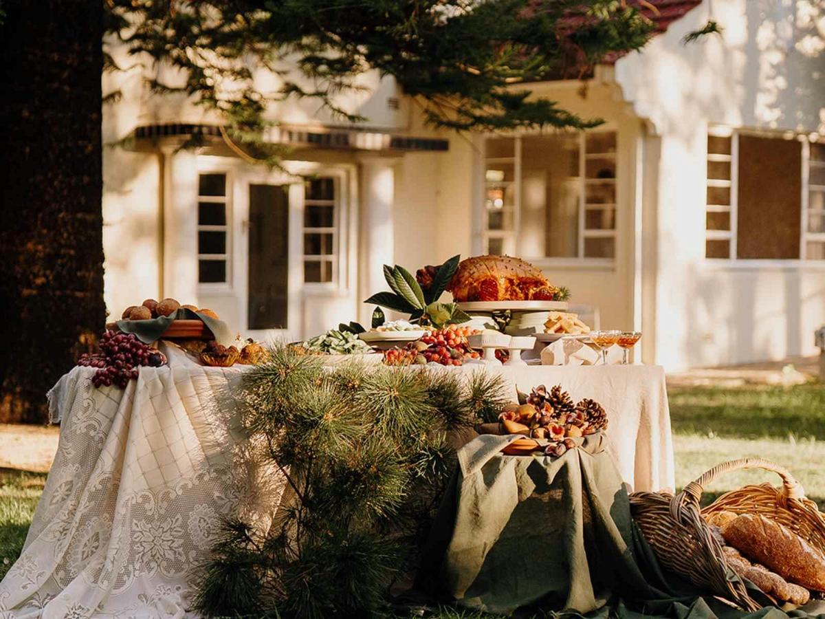 Hazel Food station