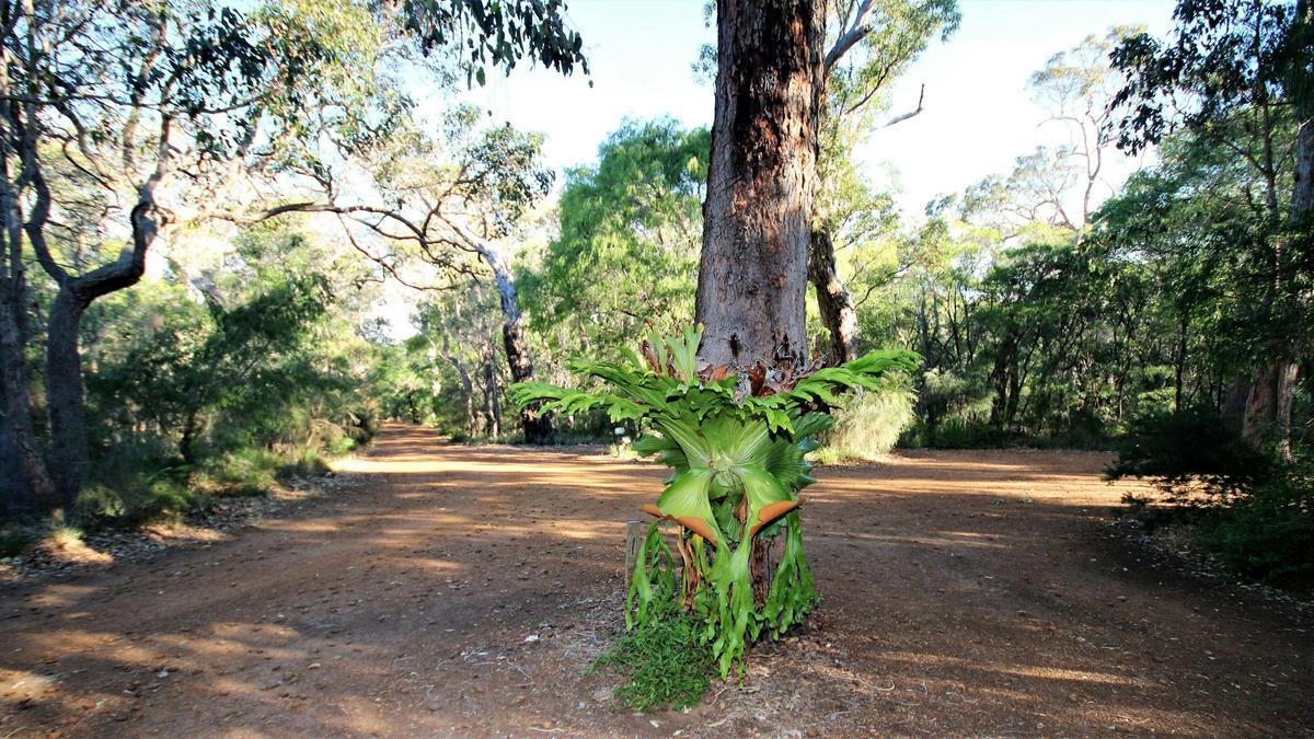 Margaret River B&B