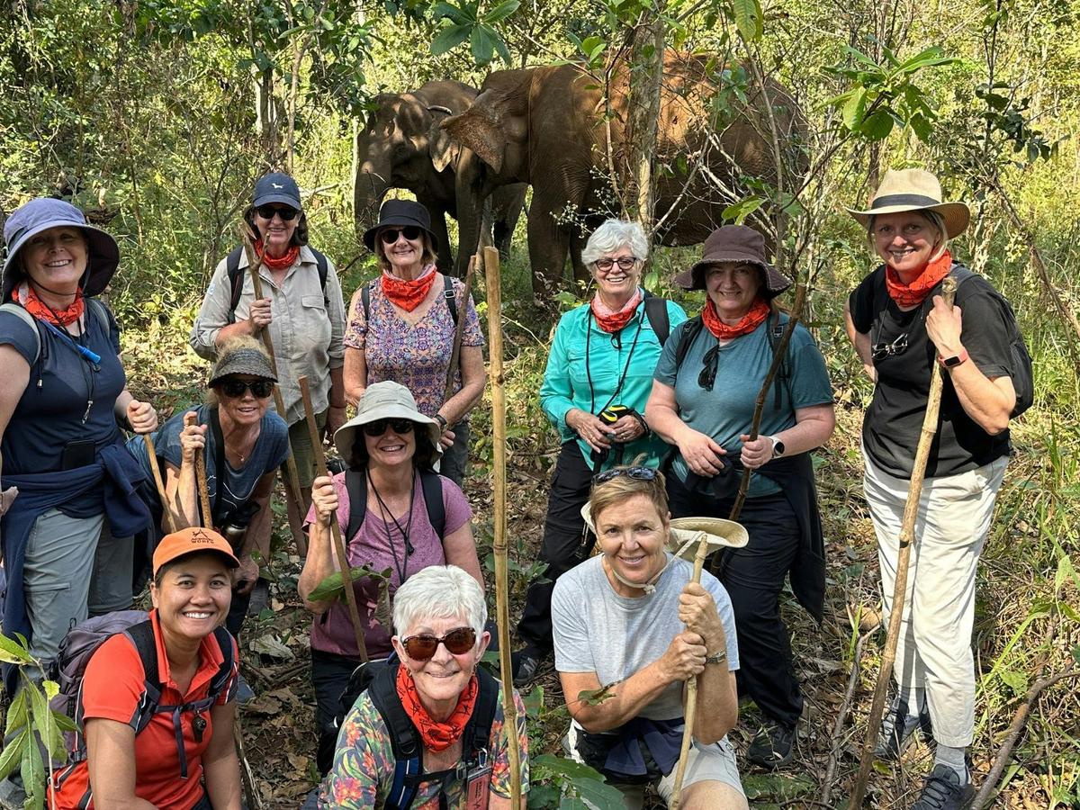 Spotting elephants in the forests of Cambodia