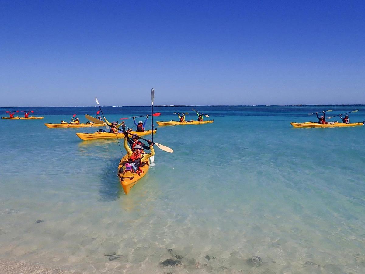 Kayaking at Ningaloo Reef