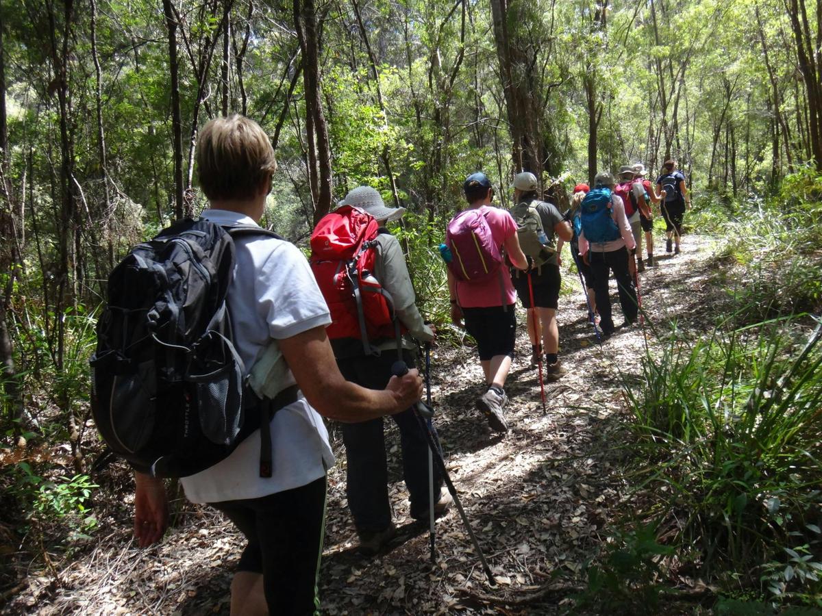Bibbulmun Track Women-only Hiking Tour - 6 Days