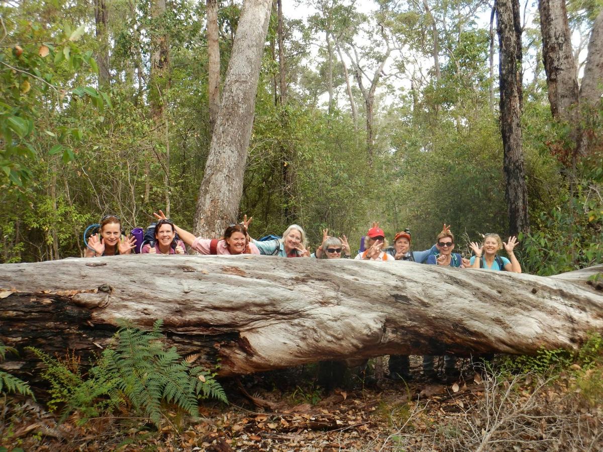 Bibbulmun Track Women-only Hiking Tour - 6 Days